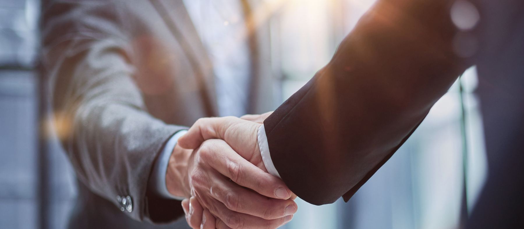 Two business professionals shaking hands